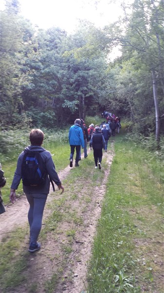 Sur le chemin 