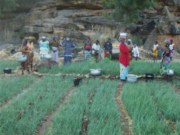 gpe de femmes dans jardin